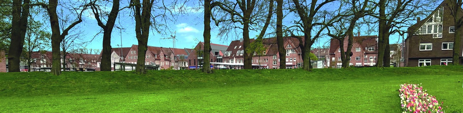 Die Wallohren mit Blick zum Kaufland Parkplatz.